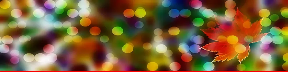 Foldbar trækvogn til alle dine eventyr